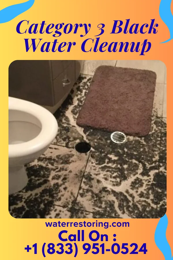 Category 3 Black Water Cleanup in Eddystone, PA