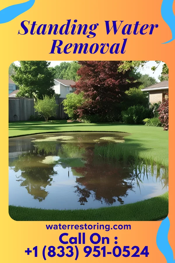 Standing Water Removal in Eddystone, PA
